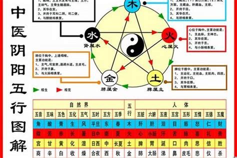 鼠五行|金鼠，木鼠，水鼠，火鼠，土鼠的五行运势